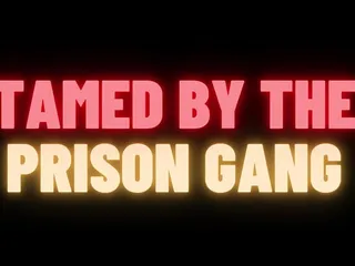 Prison Gang Bdsm Slave Training Gangbang (M4M Gay Audio Story) free video